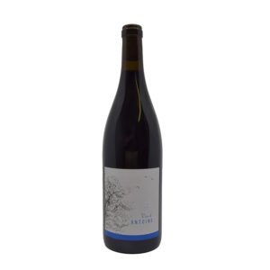Vin d Antoine rouge Famille Michon cave a vin marseille sommelier